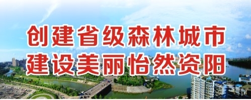 鸡吧日屄网站创建省级森林城市 建设美丽怡然资阳